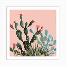 Cactus Canvas Print Art Print