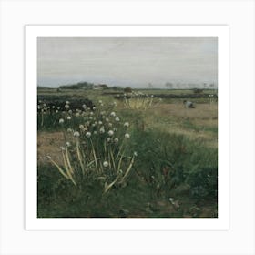 Field Of Daisies Art Print