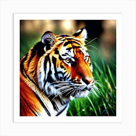 Tiger Wallpaper, Tiger Wallpaper, Tiger Wallpaper, Tiger Wallpaper Art Print