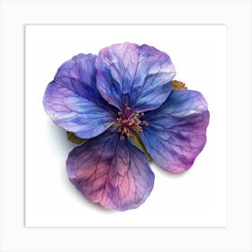 Hibiscus Flower 19 Art Print