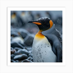 King Penguin 5 Art Print