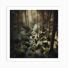 Stream In The Forest 1 Art Print