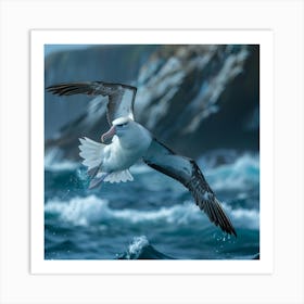 Gannet In Flight Art Print