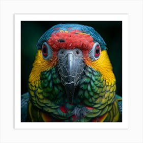 Colorful Parrot 27 Art Print