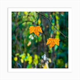 Autumn Leaves On A Branch 20231020174961rt1pub Art Print
