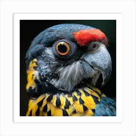 Parrot 4 Art Print