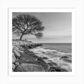 Lone Tree 5 Art Print