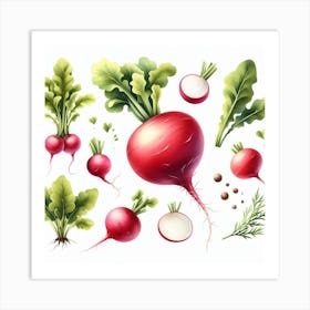 Radish 3 Art Print