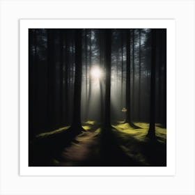 Light In The Forest Art Print