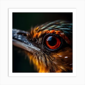 Kingfisher Bird Art Print