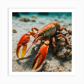 Lobster On The Beach Art Print