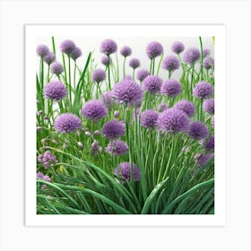 Chives 16 Art Print