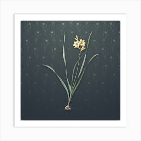 Vintage Gladiolus Lineatus Botanical on Slate Gray Pattern n.2215 Art Print