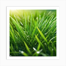 Grass Wallpaper 1 Art Print