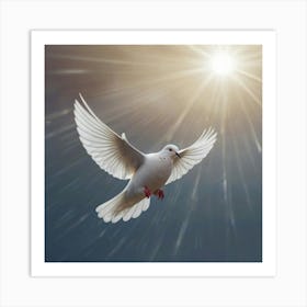 Dove In Flight Art Print