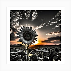 Sunflower At Sunset Art Print