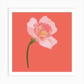 Cutout Flower Square Art Print