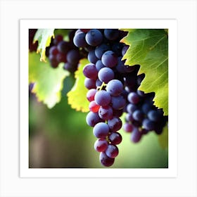 Grapes On The Vine 38 Art Print