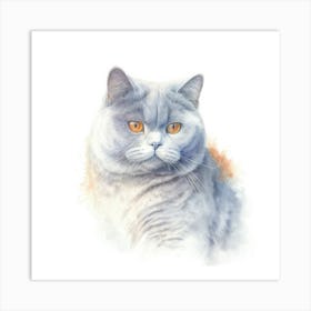 British Shorthair Cat Portrait Art Print