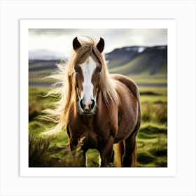 Grass Mane Head Equestrian Horse Rural White Iceland Nature Brown Field Mammal Pony Wil (3) 2 Art Print