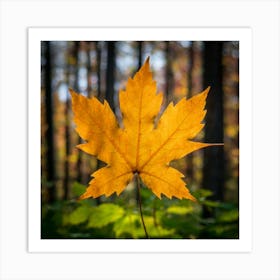 Maple Leaf Art Print