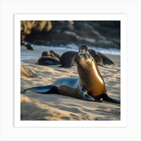 Sea Lions On The Beach Art Print