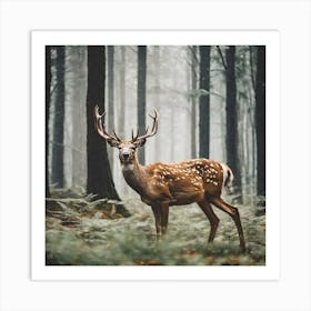 Deer In The Forest 1 Art Print