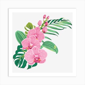 Pink Orchids Art Print