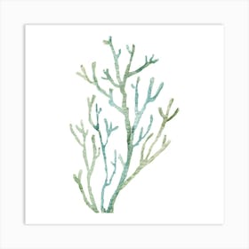 Coral Branch 1 Art Print