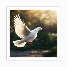 Dove In Flight 1 Art Print