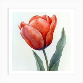 Red Tulip 1 Poster