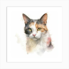 Oriental Bicolour Cat Portrait 1 Art Print