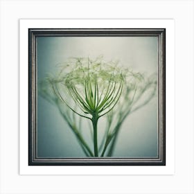 Dandelion Art Print