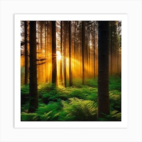 Sunrise In The Forest 23 Art Print