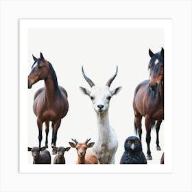 Group Of Animals 2 Art Print