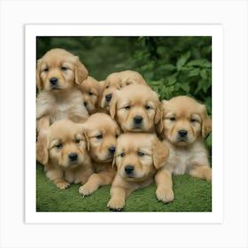 Golden Retriever Puppies 1 Art Print