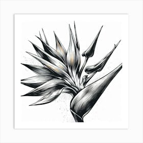 Bird of paradise flower 1 Art Print