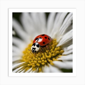 Ladybug On A Daisy 3 Art Print