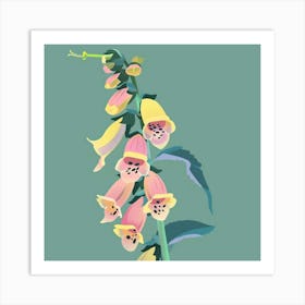 Foxglove Square Flower Illustration Art Print