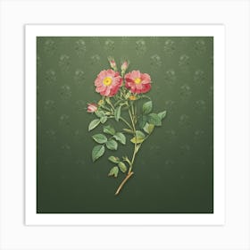 Vintage Sweetbriar Rose Botanical on Lunar Green Pattern n.1252 Art Print