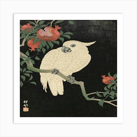 Cockatoo 1 Art Print