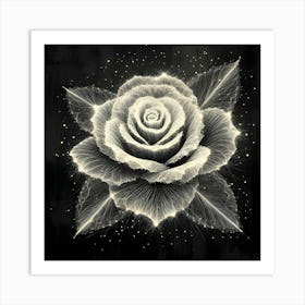 White Rose 1 Art Print