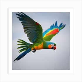 Parrot In Flight Art Print