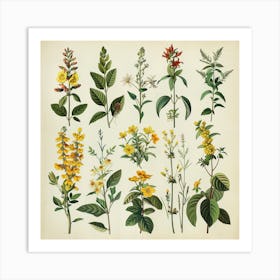 Wildflowers 2 Art Print