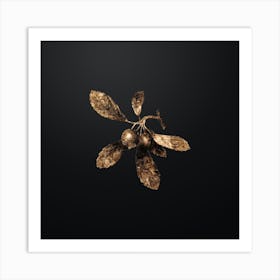 Gold Botanical Crabapple on Wrought Iron Black n.0620 Art Print