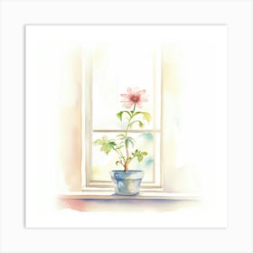 Pink Flower In A Pot Art Print