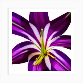 Purple Lily - Purple Lily Stock Videos & Royalty-Free Footage Art Print