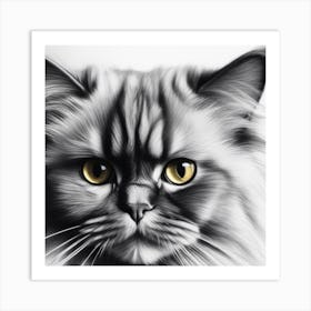 Black And White Cat Portrait Art Print