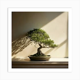 Firefly Bonsai, Tree, Minimalist, Setting, Soft, Shadows, Neutral, Background, Serene, Calm, Nature, (10) Art Print