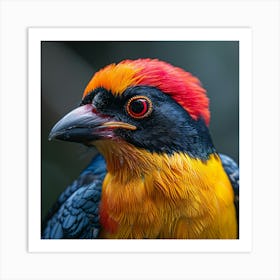 Colorful Bird 20 Art Print